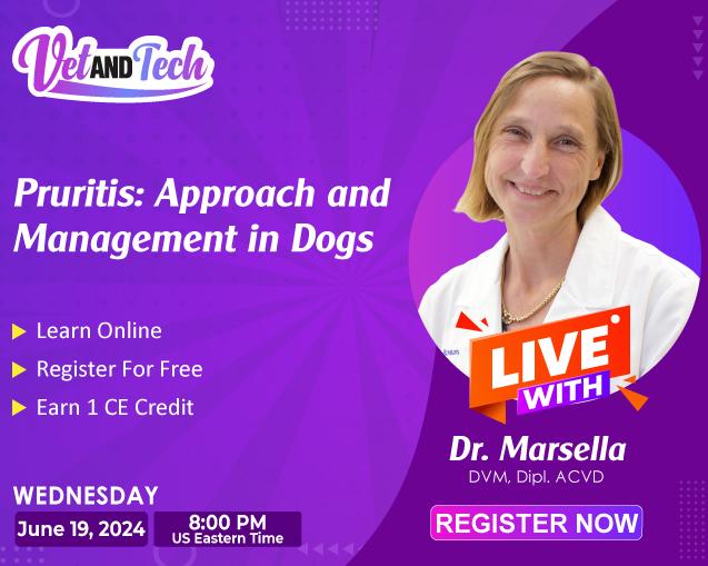Pruritis: Diagnostic Approach and Management in Dogs
