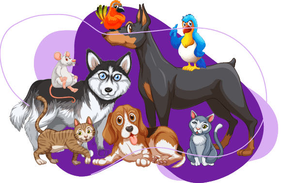 Pets Of The Month