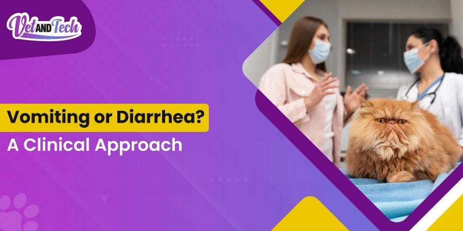 Differential Diagnosis of Vomiting and Diarrhea in Cats