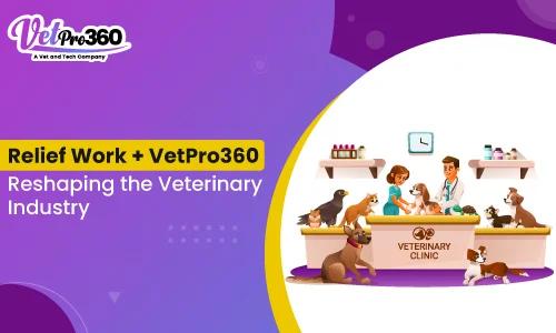 How Relief Work—and VetPro360—Are Reshaping the Veterinary Industry
