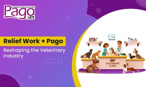 How Relief Work—and Pago—Are Reshaping the Veterinary Industry