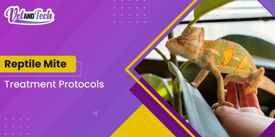 Effective Reptile Mite Treatment Protocols for Vets
