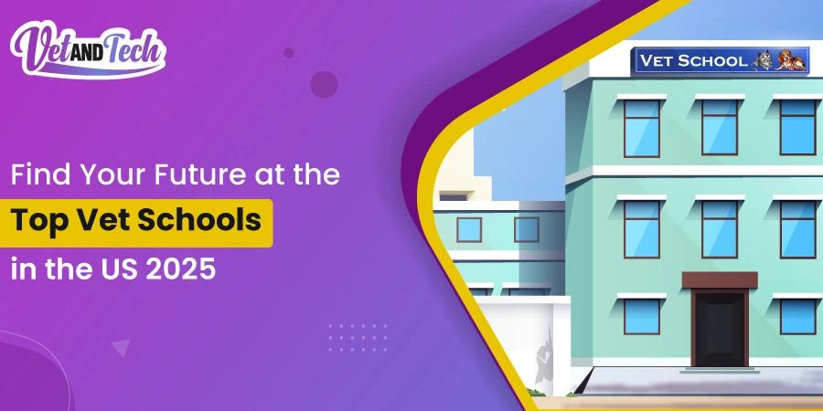 Top 5 Vet Schools in the US in 2025
