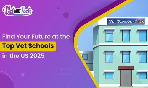 Top 5 Vet Schools in the US in 2025
