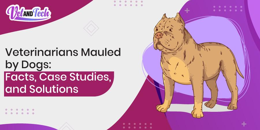 Veterinarians Mauled by Dogs: Facts, Case Studies, and Solutions