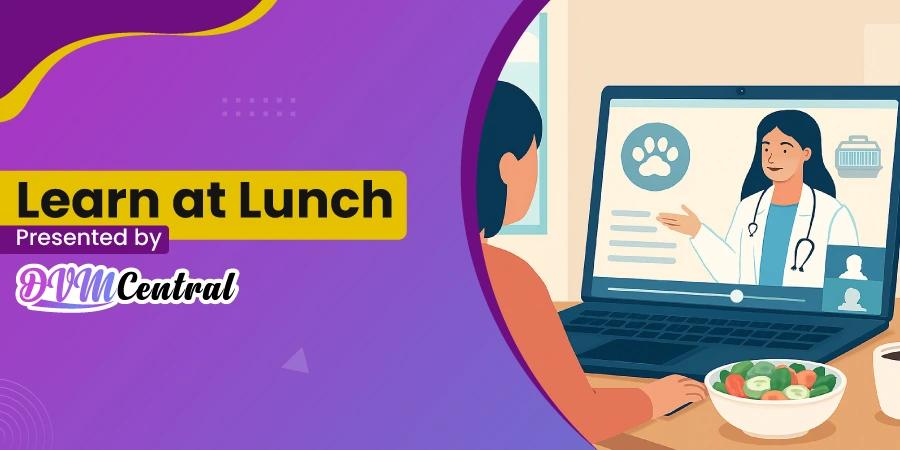 Why Host a Learn at Lunch Session on DVM Central