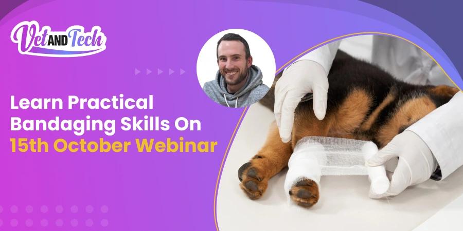 Learn Practical Bandaging Skills in a Vet Tech Week CE Webinar 2025