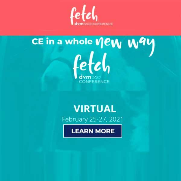Fetch DVM