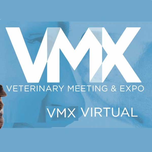 VMX 2021