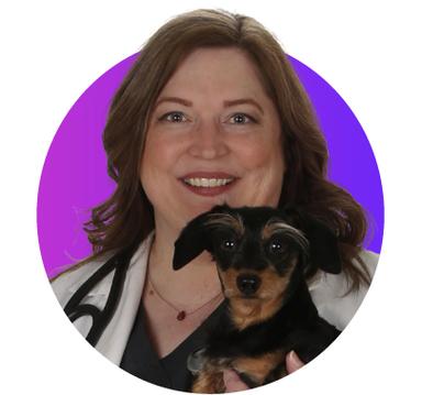 Dr. Jennifer R Mathis