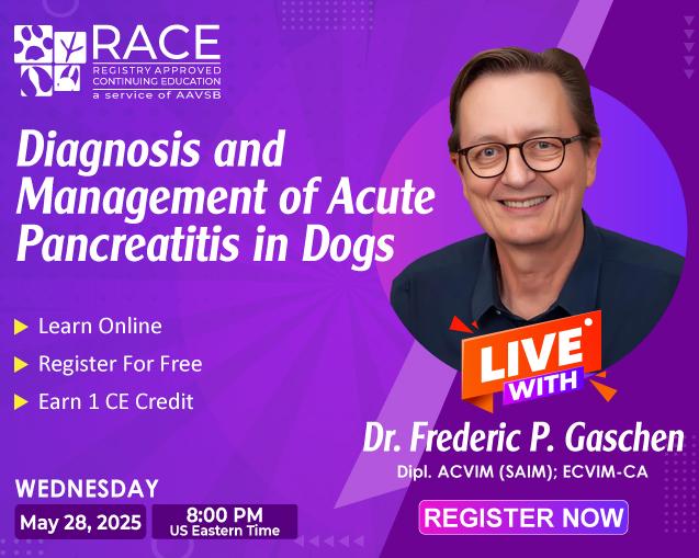 Diagnosis and Management of Acute Pancreatitis in Dogs