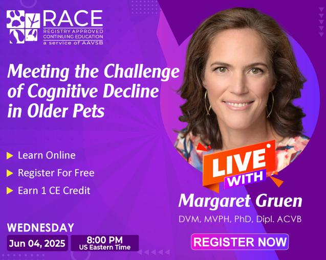 Meeting the Challenge of Cognitive Decline in Older Pets
