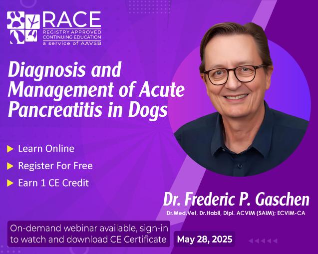 Diagnosis and Management of Acute Pancreatitis in Dogs