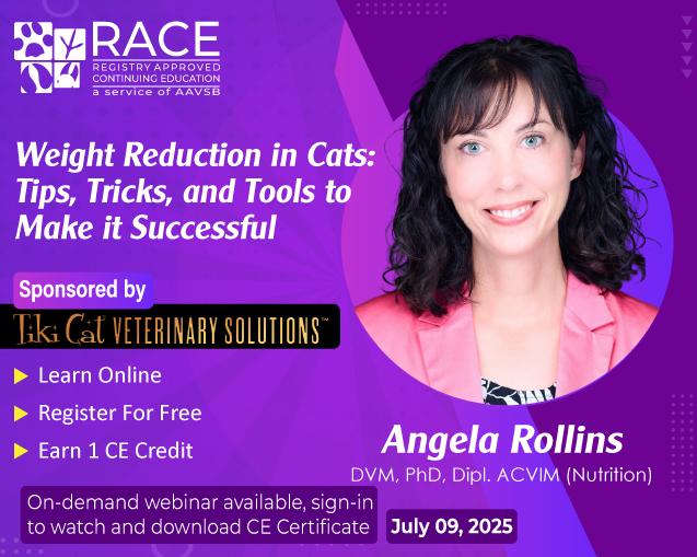 Weight Reduction in Cats: Tips, Tricks, and Tools to Make it Successful