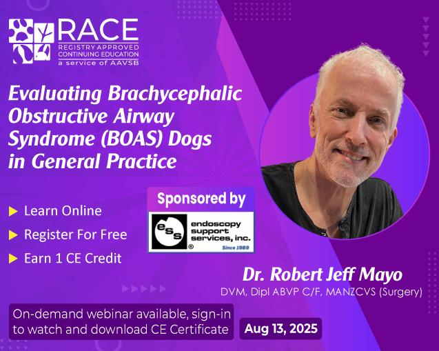 Evaluating Brachycephalic Obstructive Airway Syndrome (BOAS) Dogs in General Practice