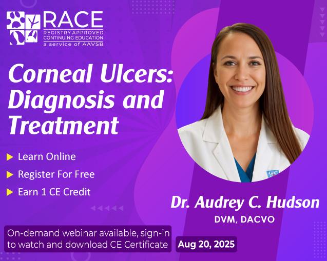 Corneal Ulcers: Diagnosis and Treatment