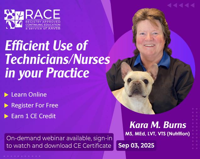 Efficient Use of Technicians/Nurses in your Practice