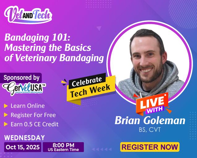 Bandaging 101: Mastering the Basics of Veterinary Bandaging 