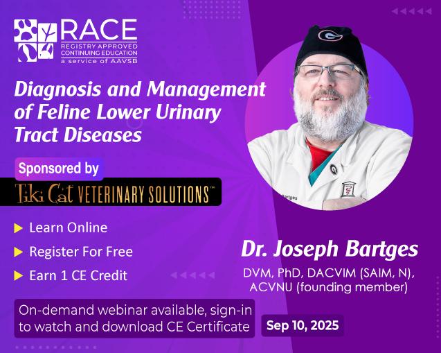 Diagnosis and Management of Feline Lower Urinary Tract Diseases