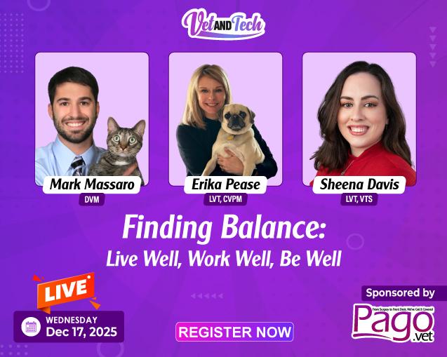 Finding Balance: Live Well, Work Well, Be Well (Dec Edition)