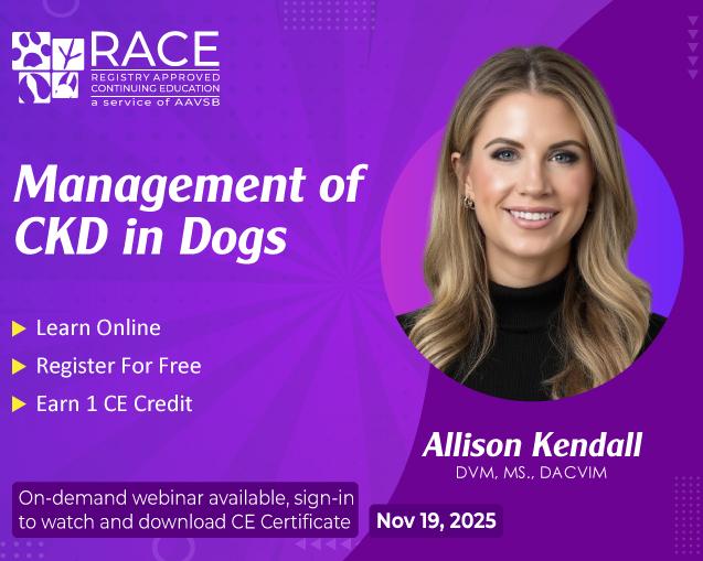 Management of CKD in Dogs