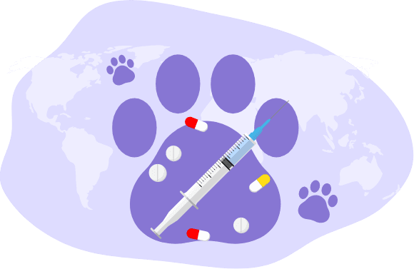 Common Veterinary Diseases