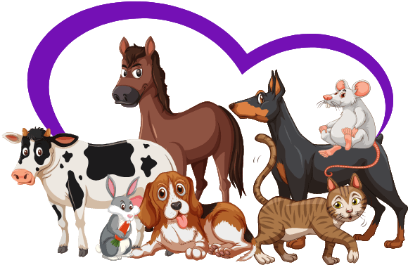 Harness Vet Knowledge: Your Reliable Resource