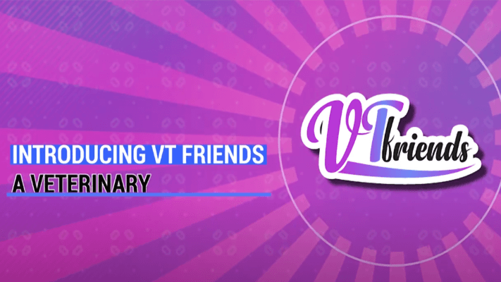 Intro to VT Friends