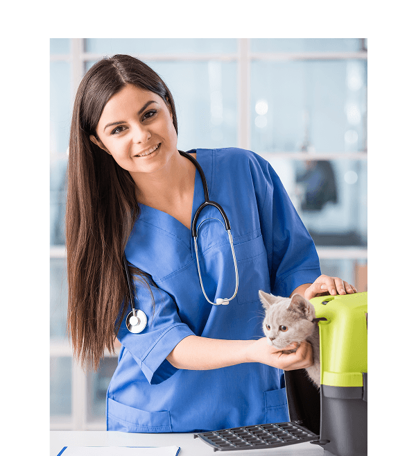 Veterinary staff