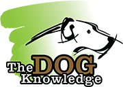 The Dog Knowledge