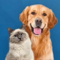 Veterinarian - Medical Director