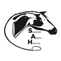 DVM Student Externship/Preceptorship Program - Shawnee Animal Hospital (Mixed Practice)