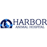 DVM Student Externship/Preceptorship Program - Harbor Animal Hospital