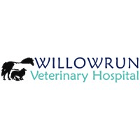 DVM Student Externship/Preceptorship Program — Willowrun Veterinary Hospital