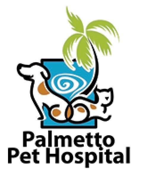 Experienced Veterinary Technician