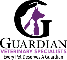 Licensed Veterinary Technicians