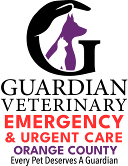 Licensed Veterinary Technician