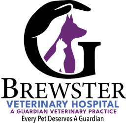 Associate Veterinarian