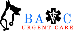 Associate Veterinarian