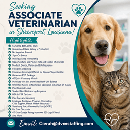 Associate Veterinarian at University Veterinary Hospital