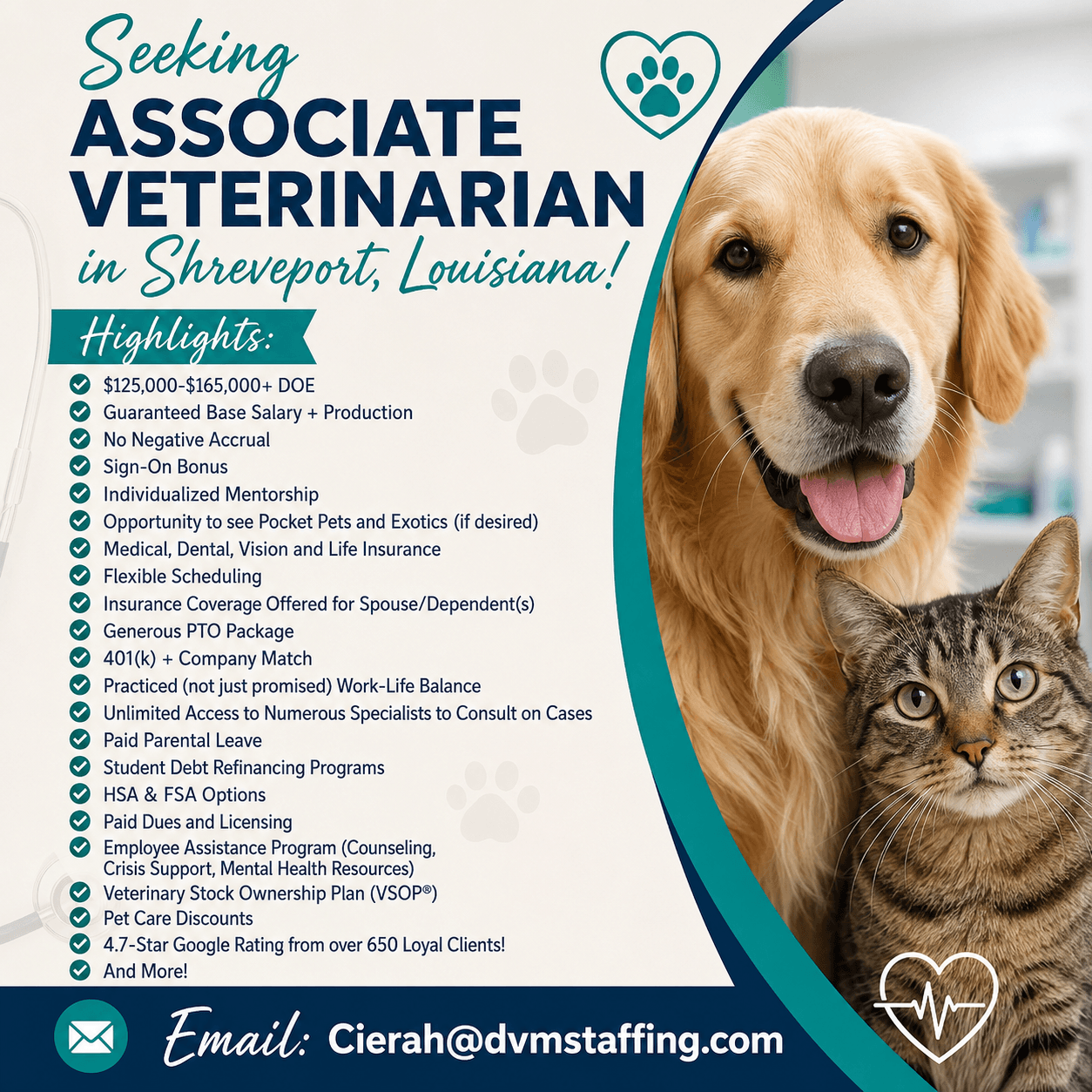 Associate Veterinarian at University Veterinary Hospital