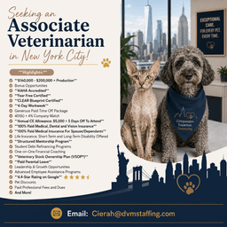 Associate Veterinarian at Heart of Chelsea Veterinary Group