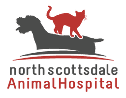 Experienced Veterinary Technician (3–5 Years Experience)