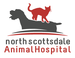 Experienced Veterinary Technician (3–5 Years Experience)