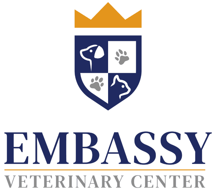 Licensed Veterinary Technician