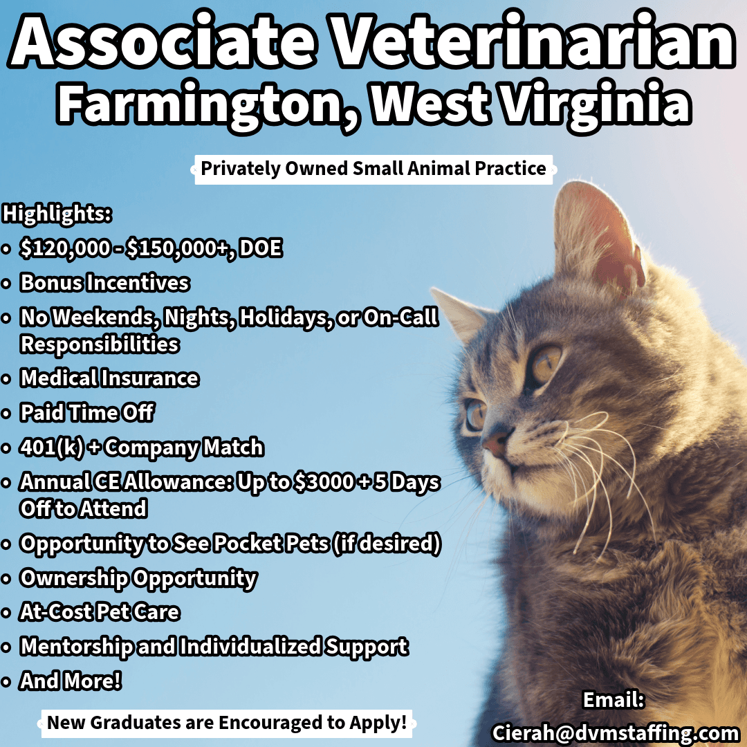 Associate Veterinarian