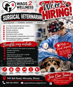 Surgery Veterinary