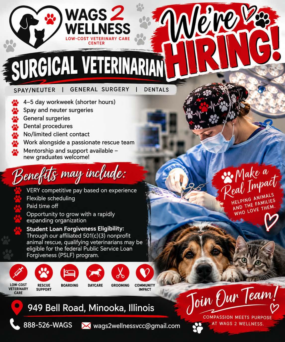 Surgery Veterinary