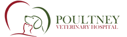 Associate Veterinarian (DVM)