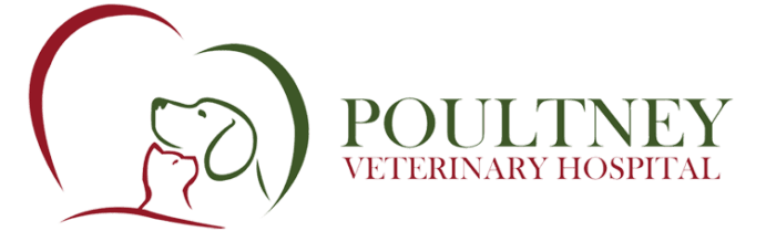 Associate Veterinarian (DVM)